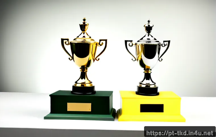 태권도 트로피 맞춤 제작 관련 이미지 1